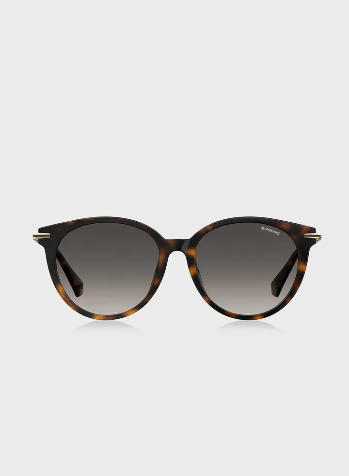 Pld 4084/F/S Sunglasses