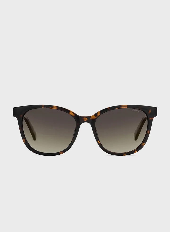 Pld 5015/S Sunglasses