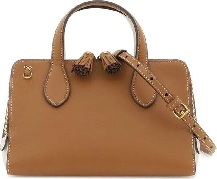 Anya Hindmarch Two-Toned Wedge Small Crossbody Bag