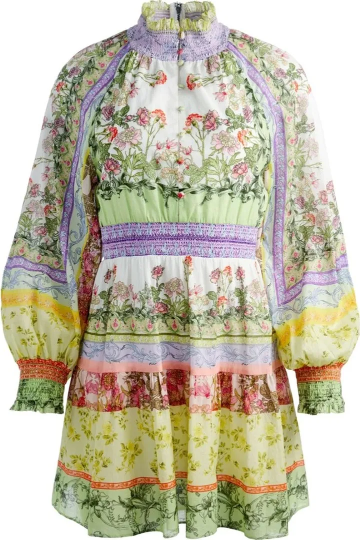 mini Lavinia front button dress