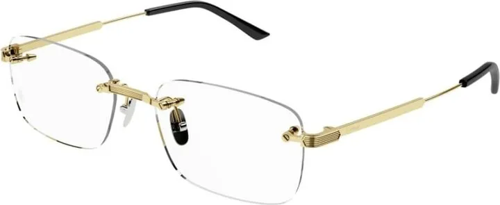 CT0349O Glasses