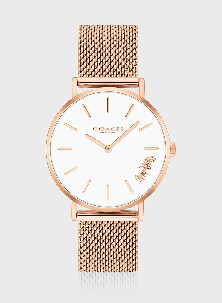 Perry Mesh Strap Analog Watch