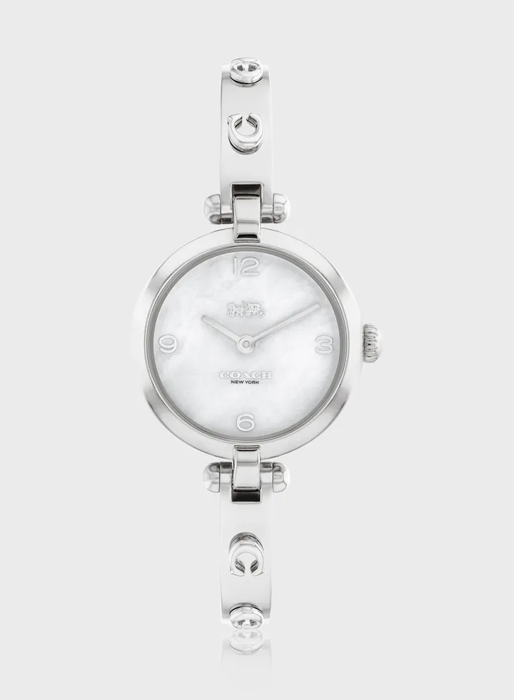 Cary Steel Strap Analog Watch