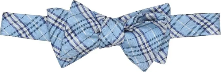 Ties & Bow Ties Sky Blue