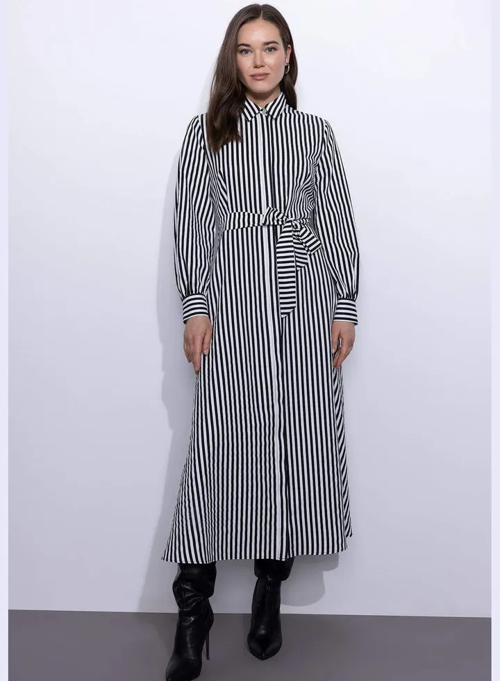 Woman Long Sleeve Woven Dress