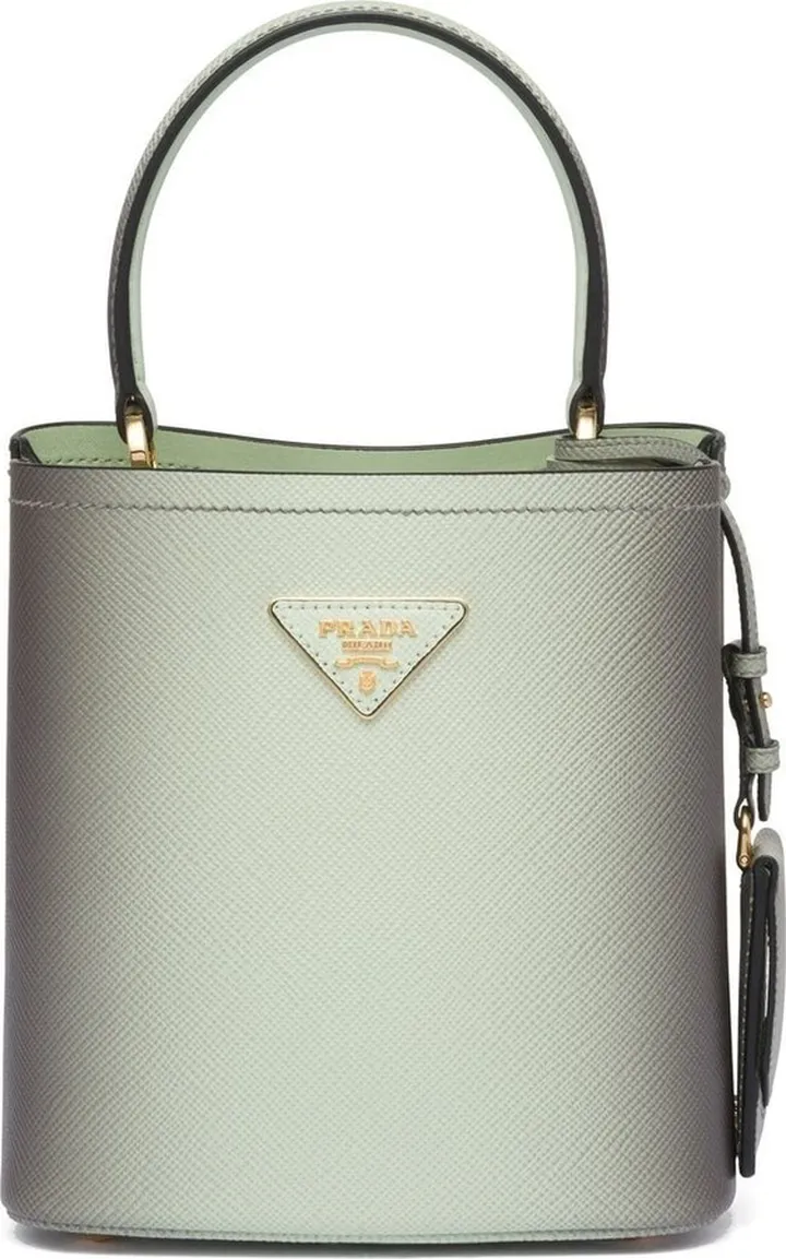 small Panier Saffiano leather bag