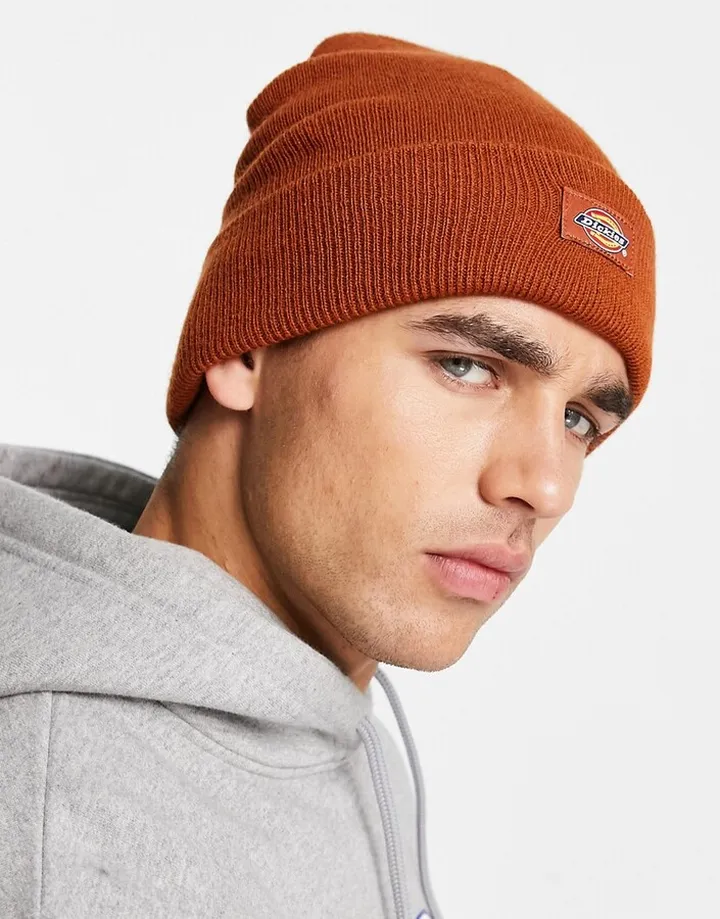Dickies Woodworth Waffle beanie in brown