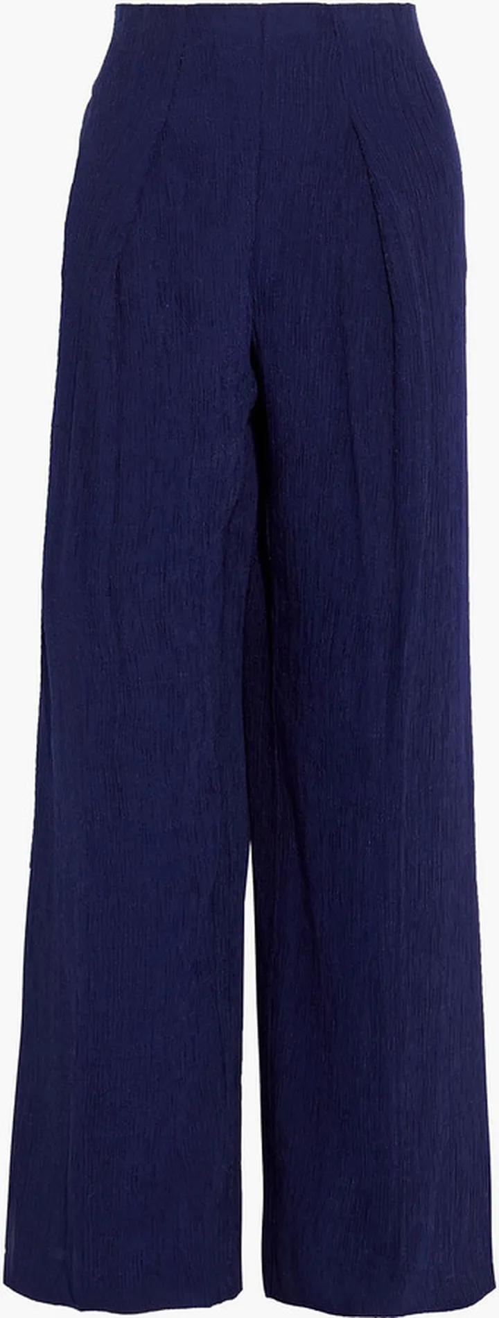 Nitra pleated crepon wide-leg pants