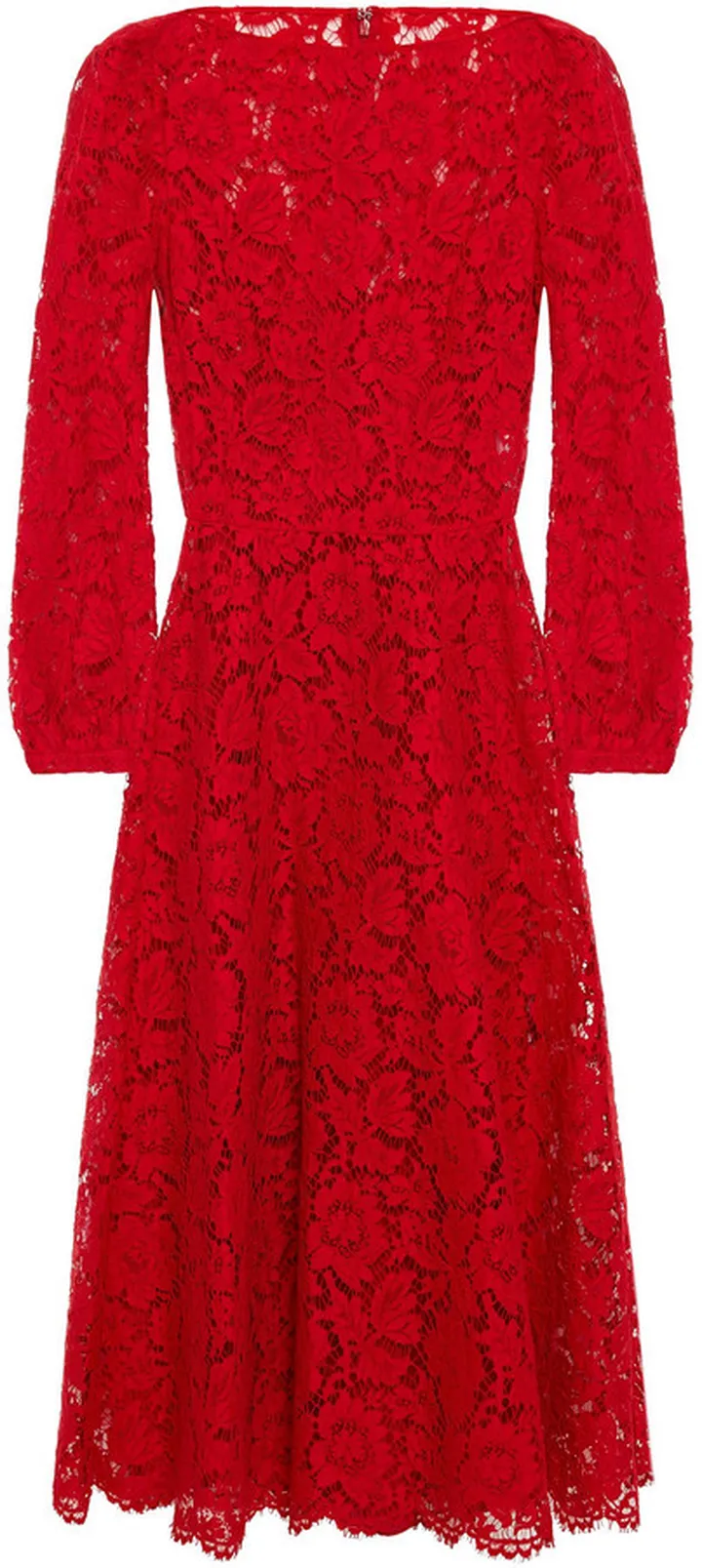 Cotton-blend corded lace midi dress