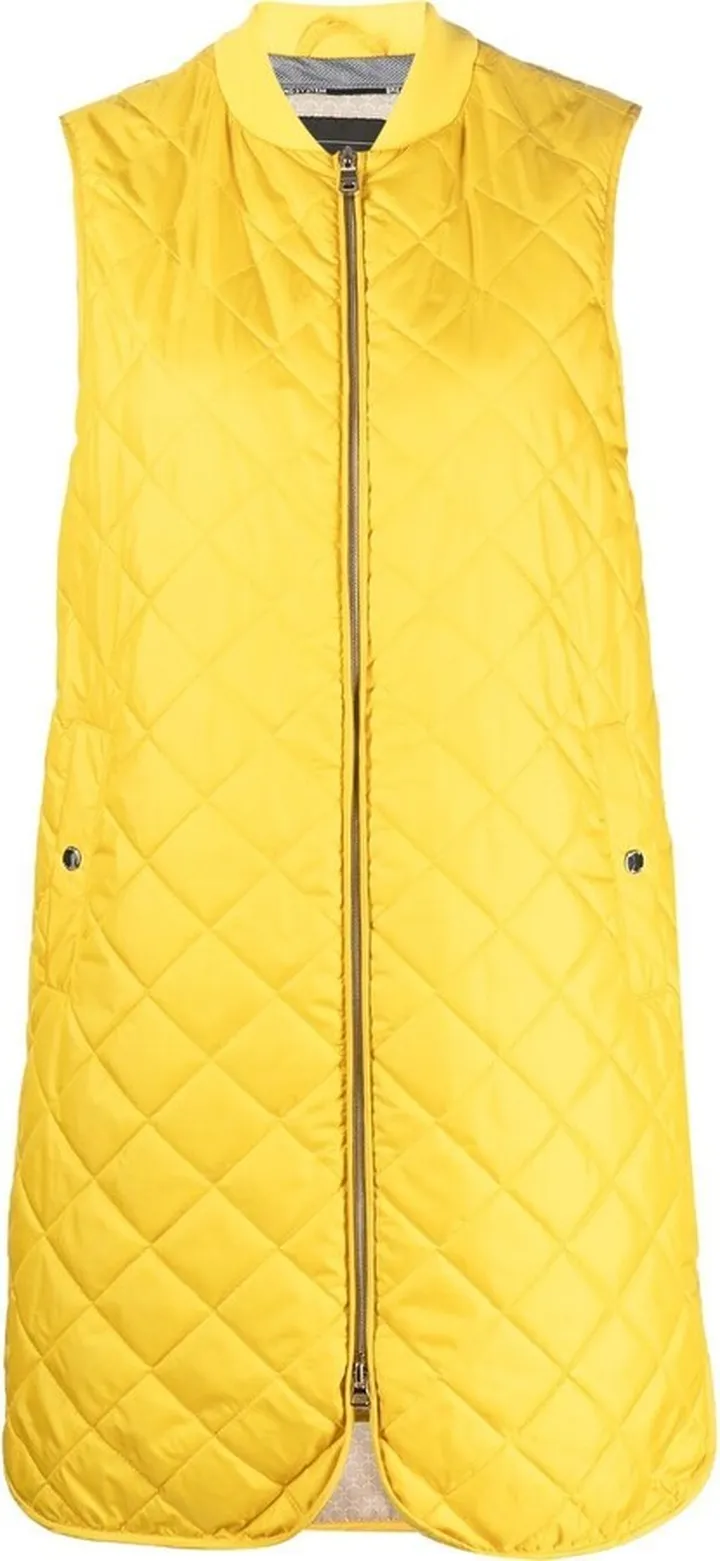 Asheely quilted gilet