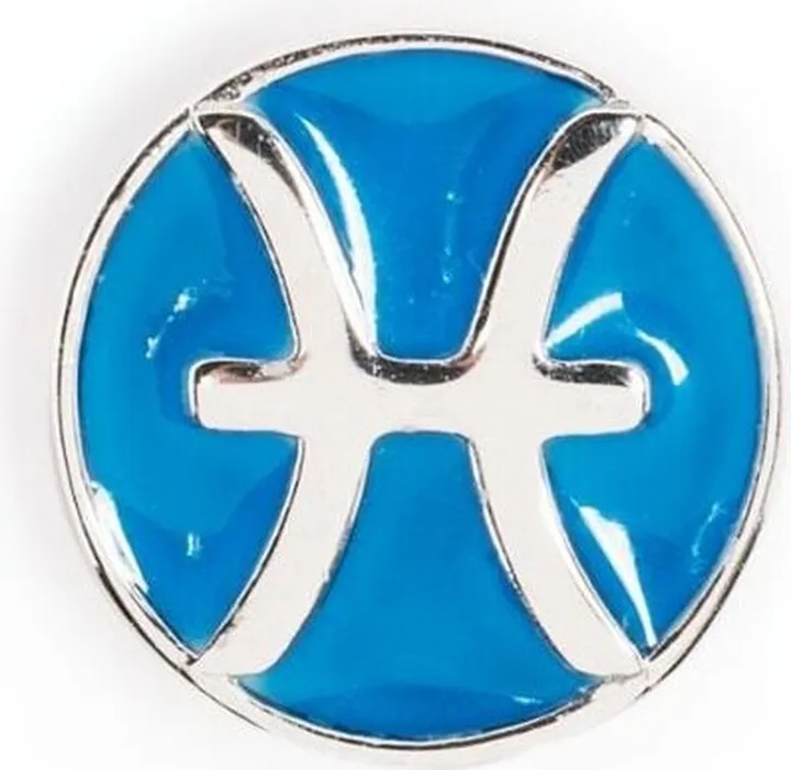 Pisces POP Coin charm