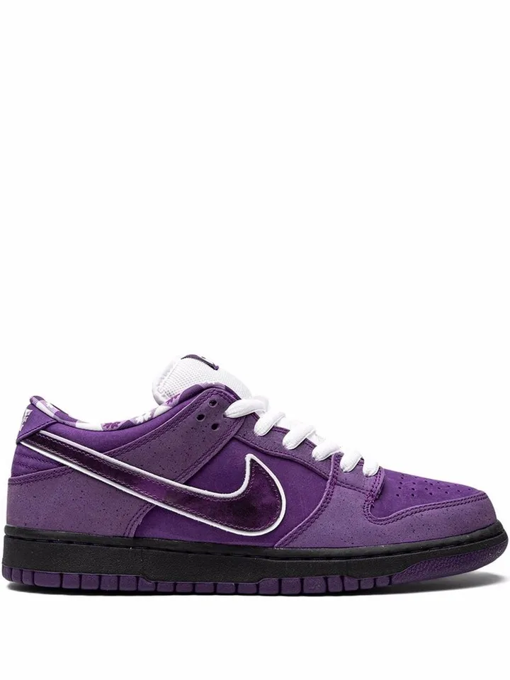 SB Dunk Low Pro sneakers