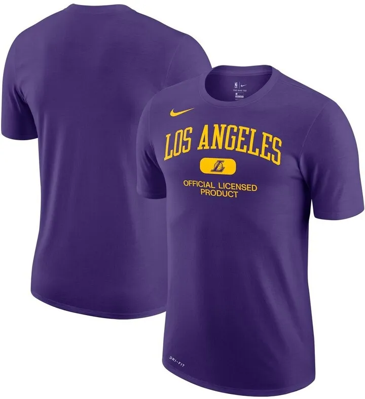 Men's Nike Purple Los Angeles Lakers Essential Heritage Performance T-shirt