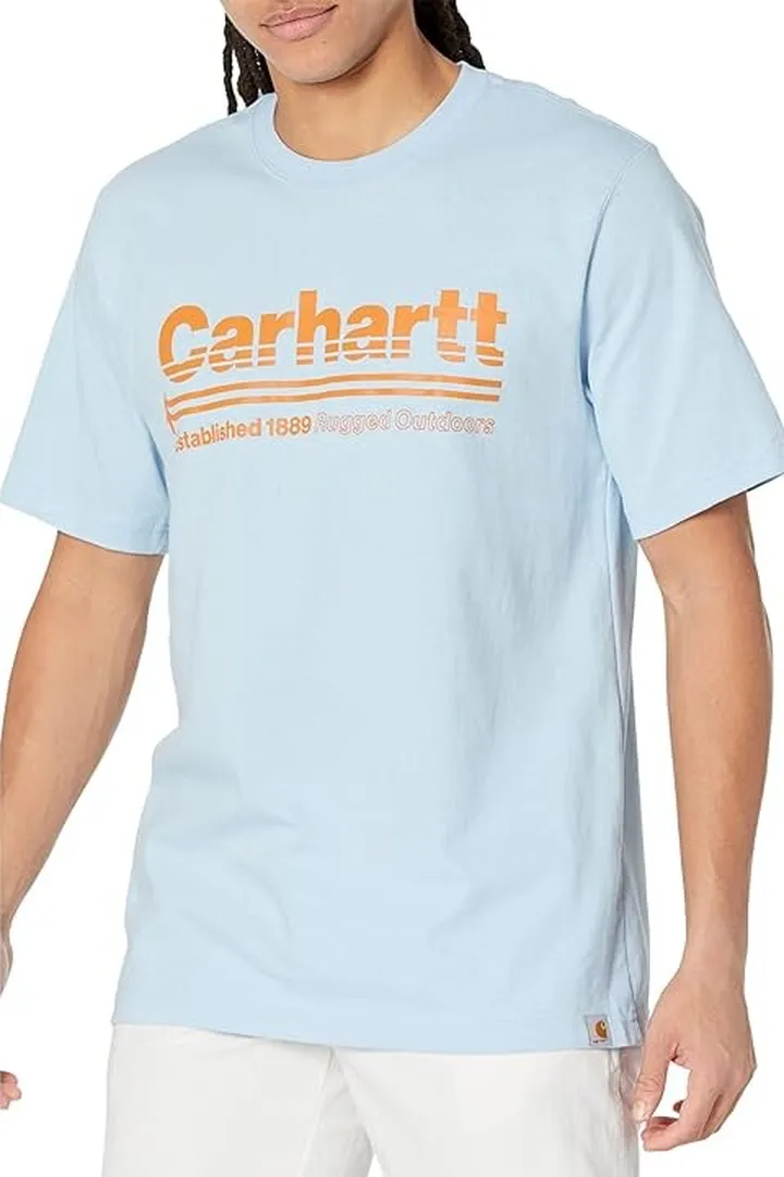 Carhartt Relaxed Fit Heavyweight Short Sleeve Outdoors Graphic T-Shirt (Moonstone) Men's Clothing