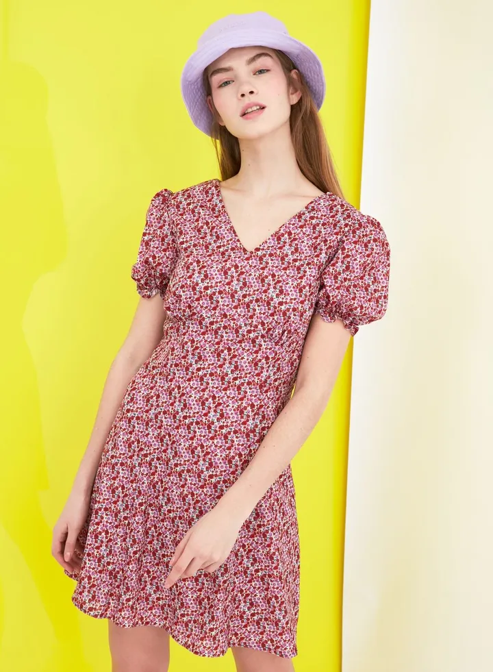 Balloon Sleeve Printed Dress