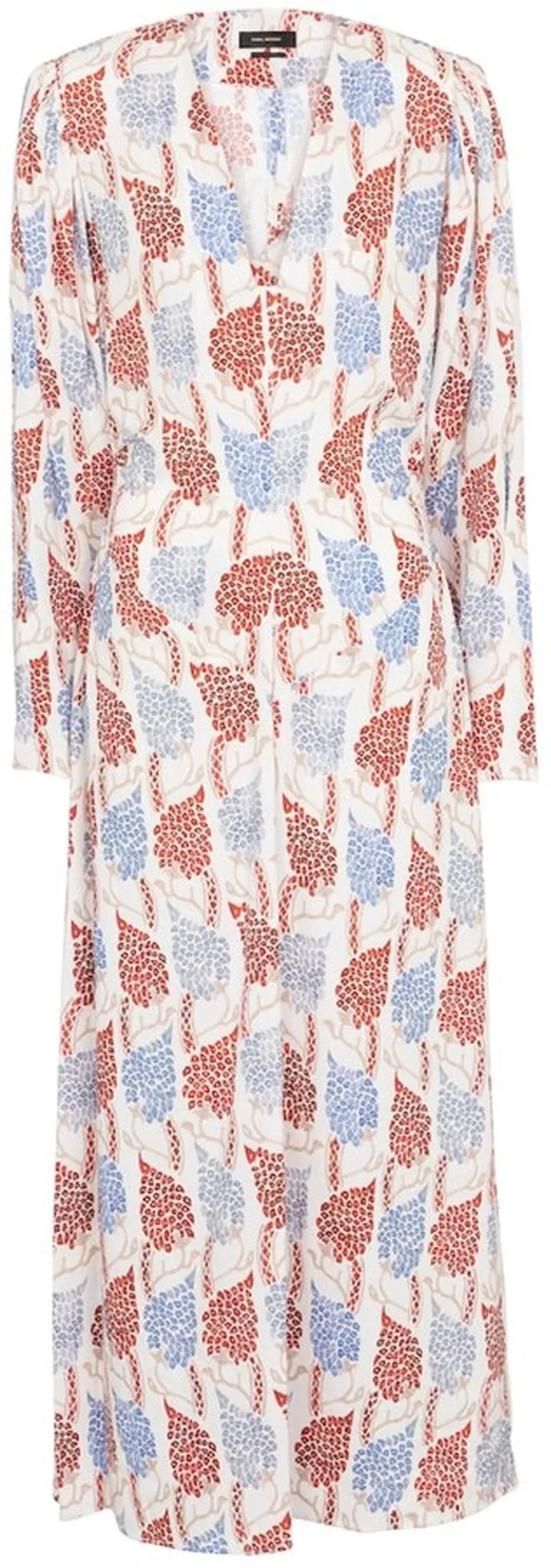 Bagenia printed midi dress