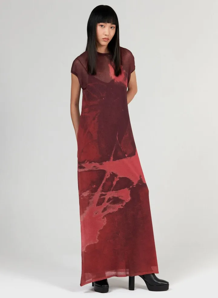 Gradient Printed Dress