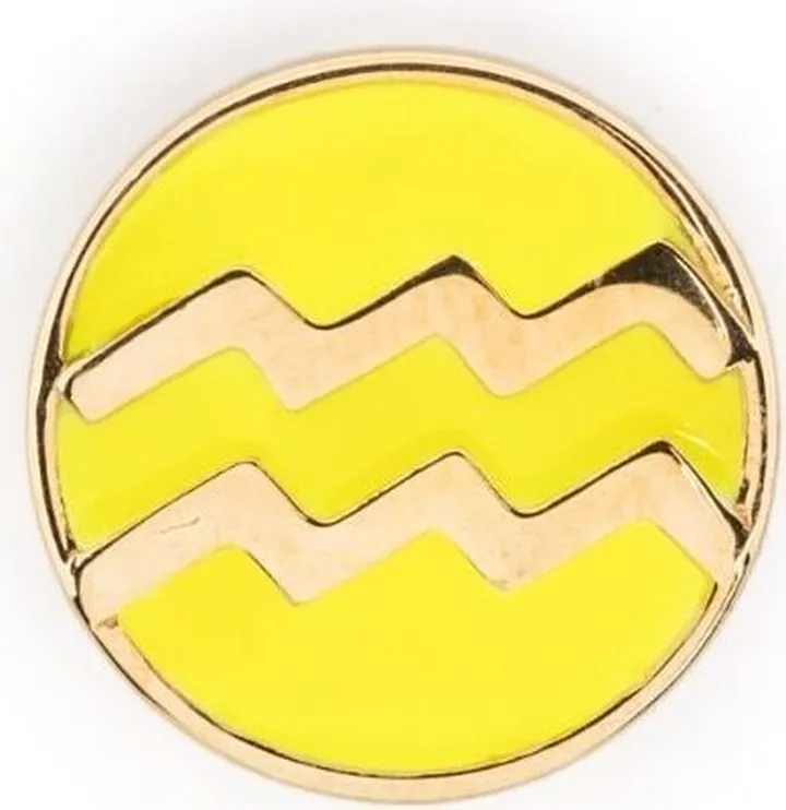 Aquarius POP Coin charm