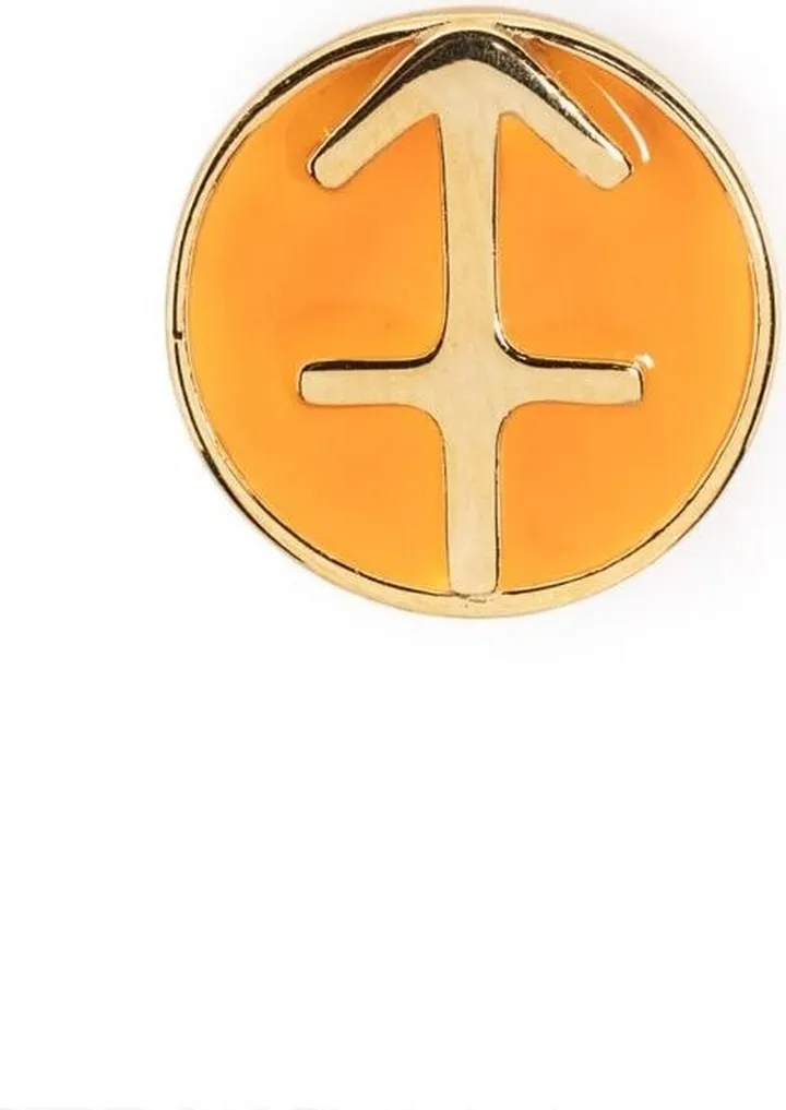 Sagittarius POP Coin charm