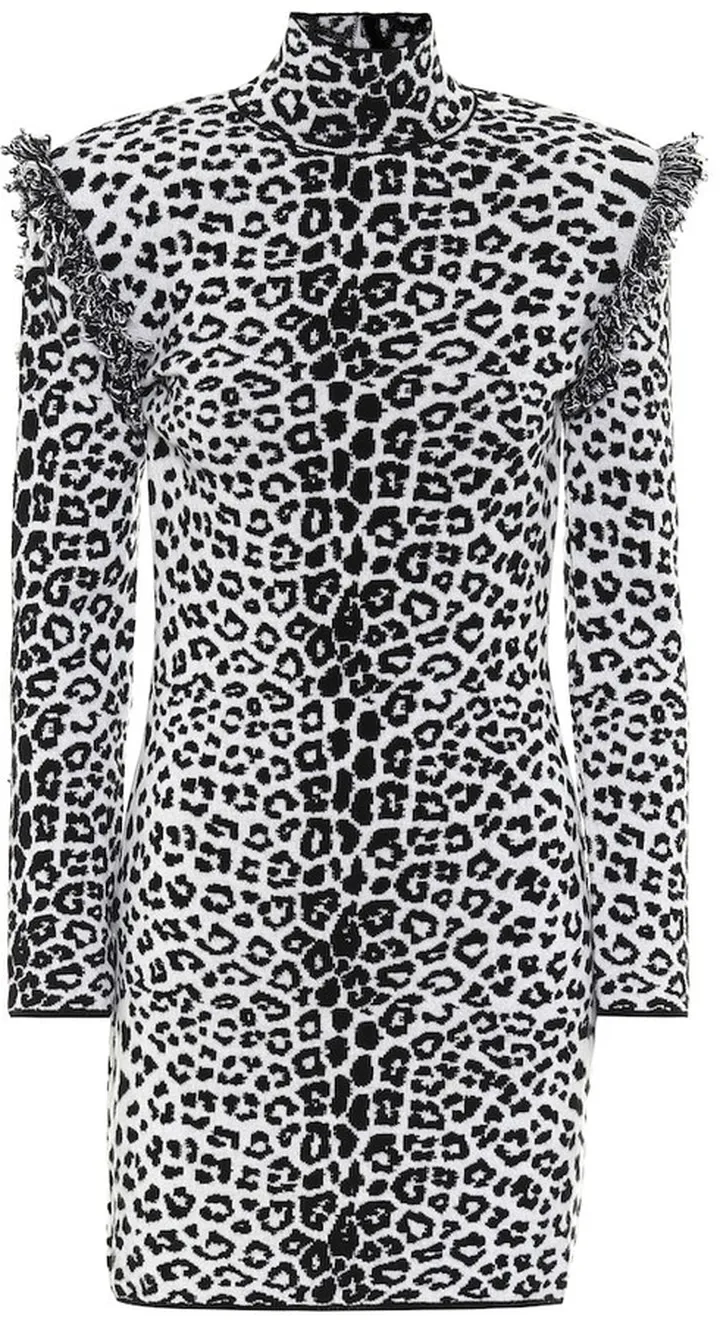 Leopard-print wool and cashmere dress