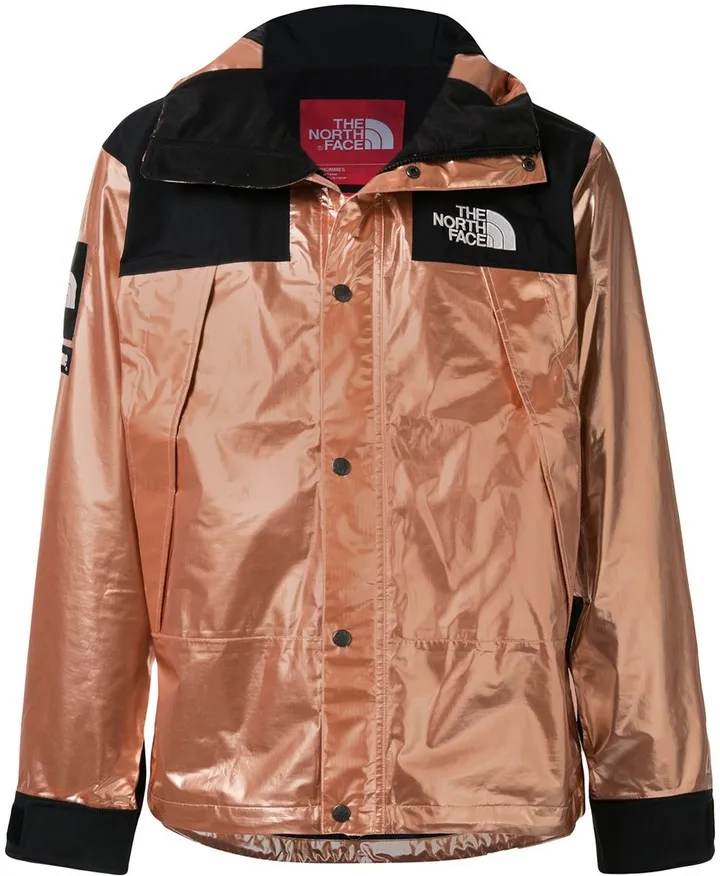 Tnf Metallic Mountain Parka