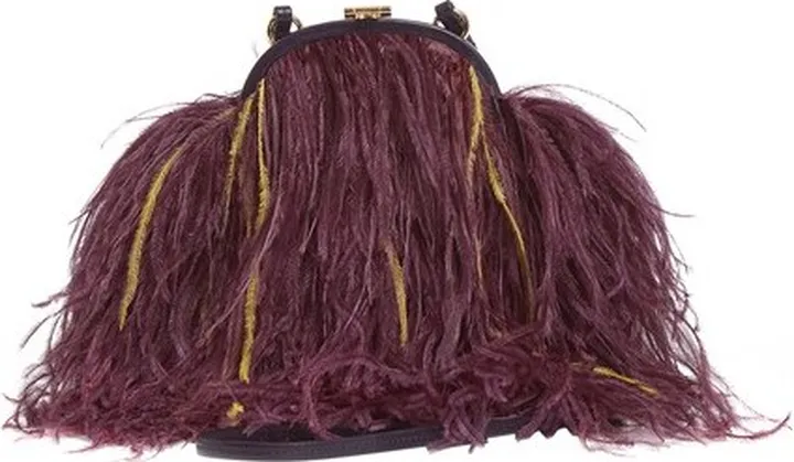 Frame Crossbody Bag