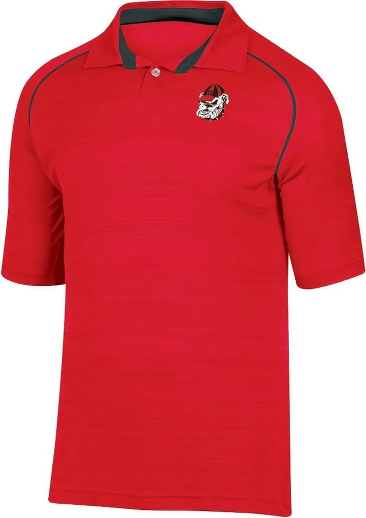 NCAA Georgia Bulldogs Men's Faded Striped Short Sleeve Polo Shirt - S