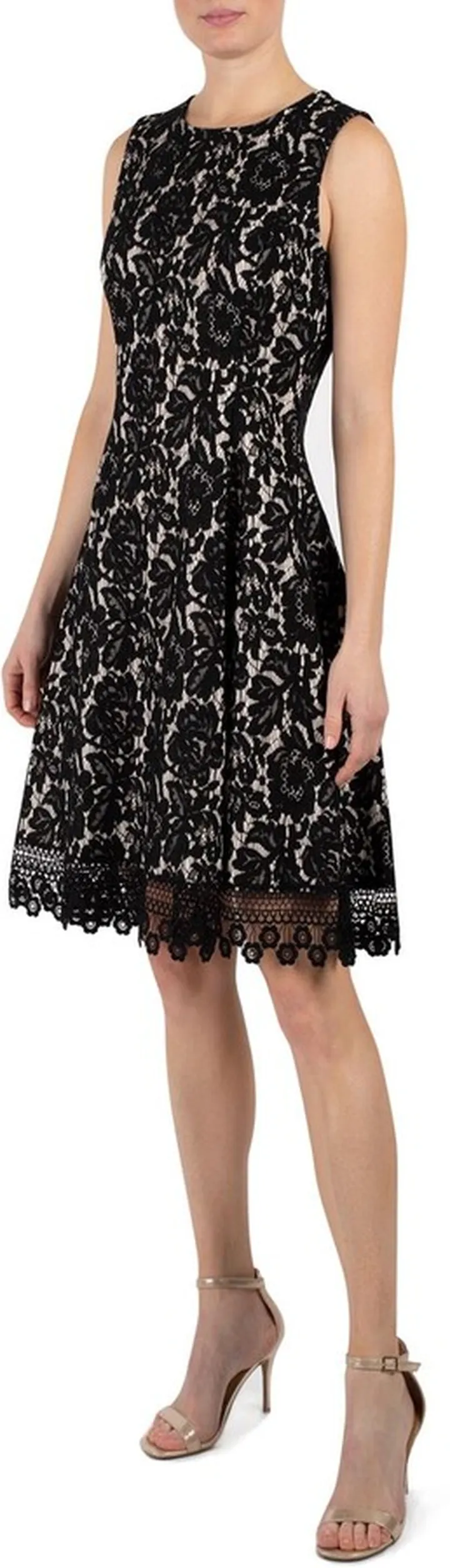 Sleeveless Lace Fit And Flare Dress