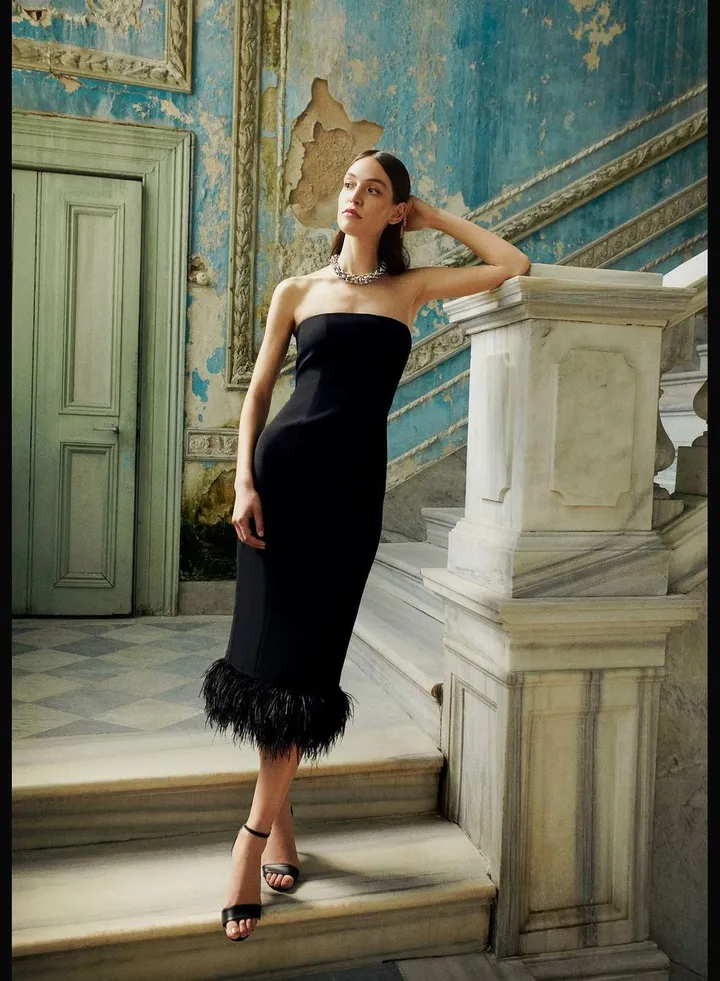 Woman Strapless Off Shoulder Short Sleeve Woven Dress