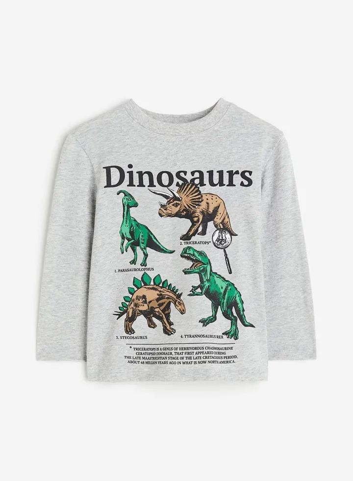 Kids Dinosaurs T-Shirt