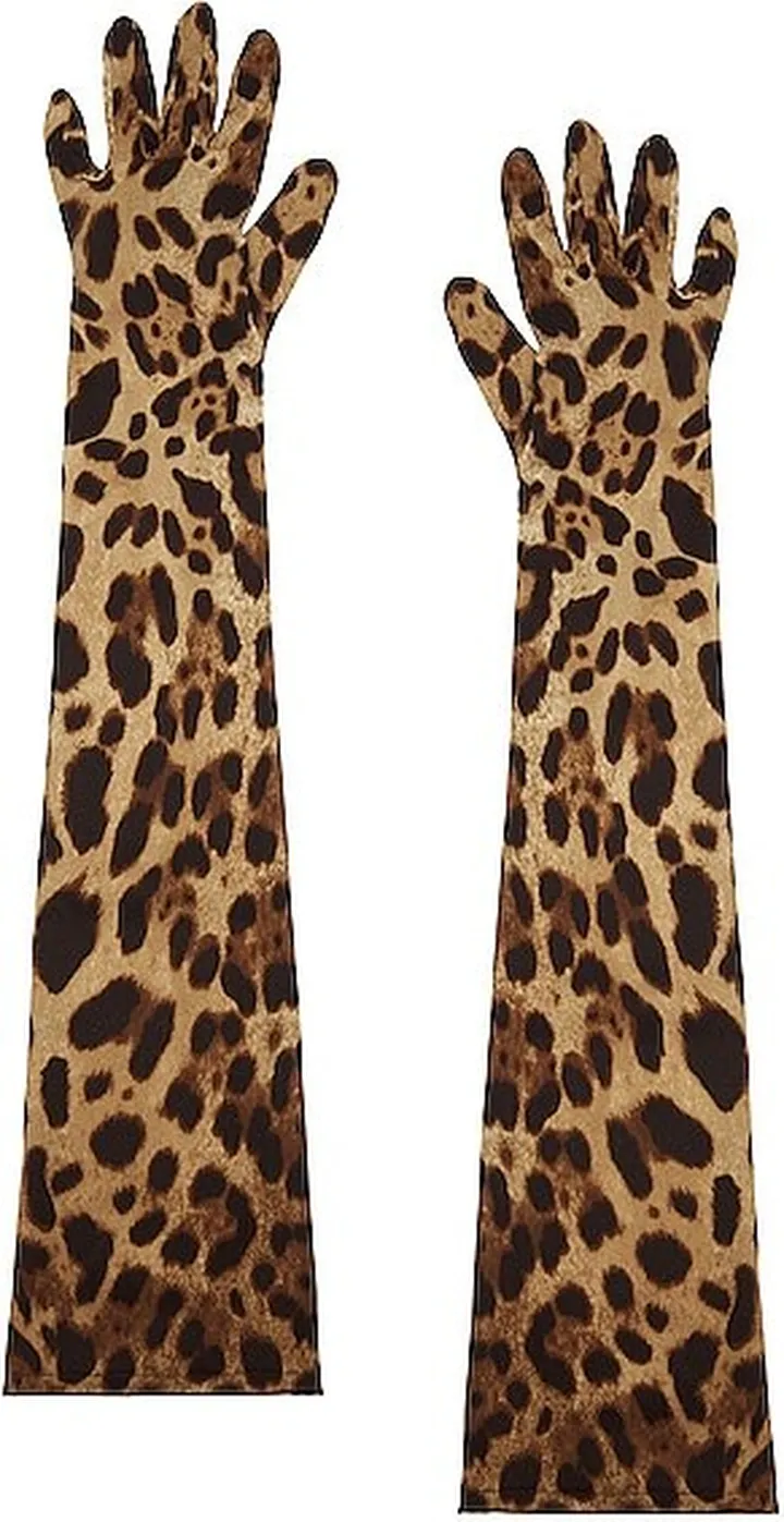 Dolce & Gabbana Stretch Gloves in Brown