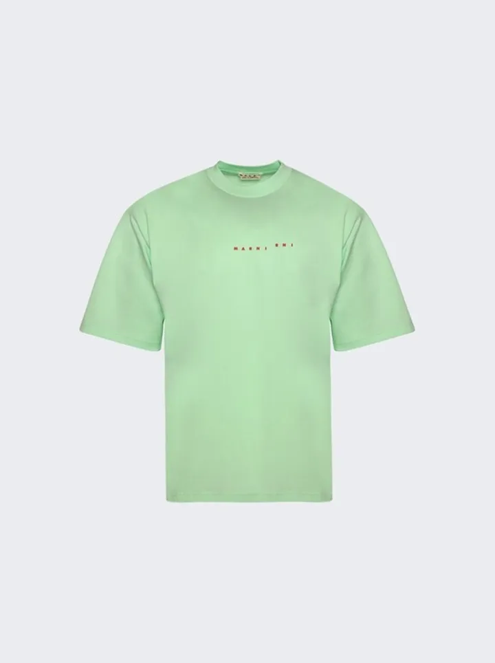 Classic T-shirt Spring Green
