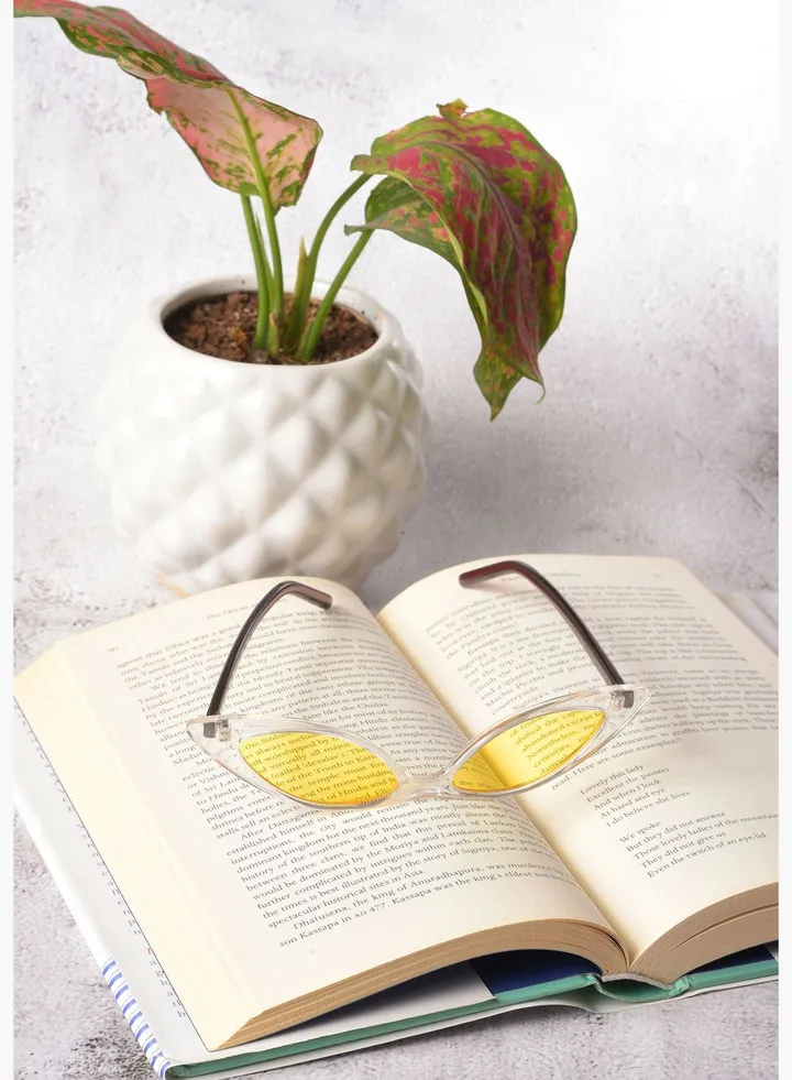 Women Yellow Lens Brown Cateye Sunglasses