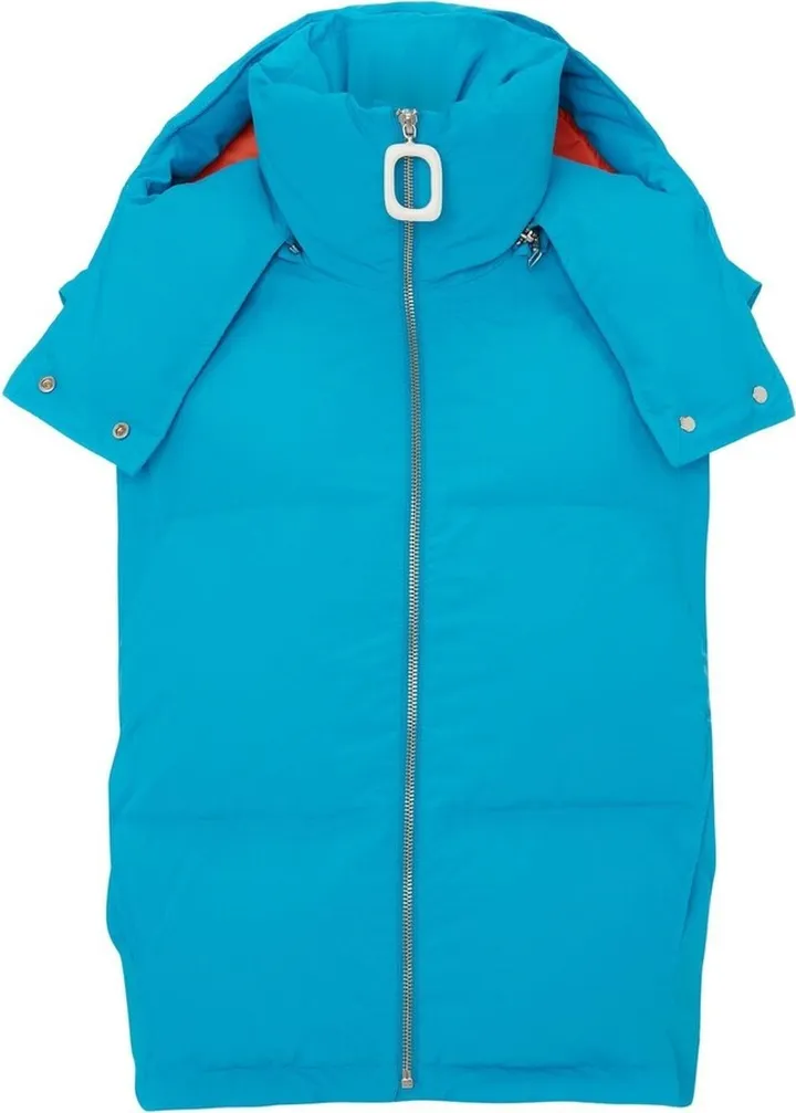 Hooded Puffer Gilet