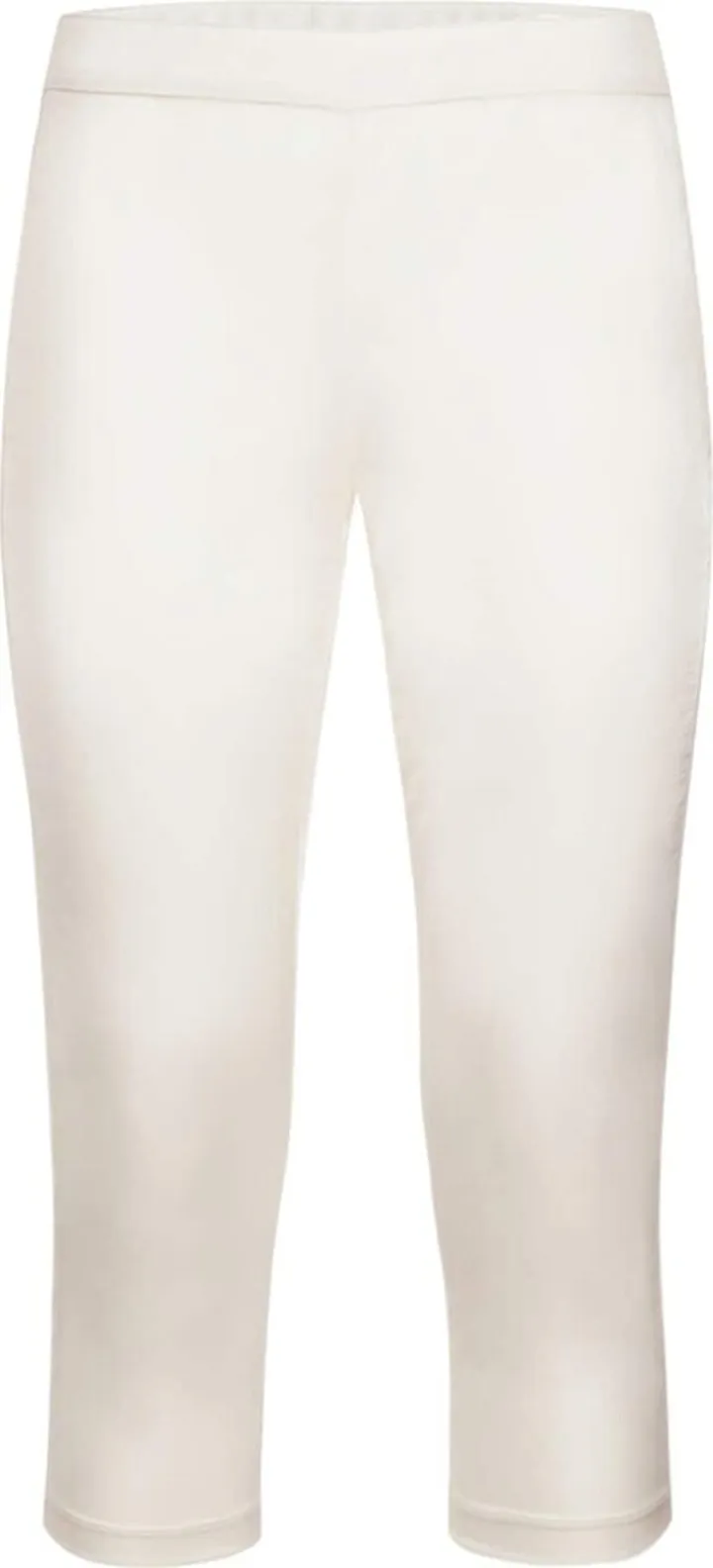 Sheer mesh cropped leggings