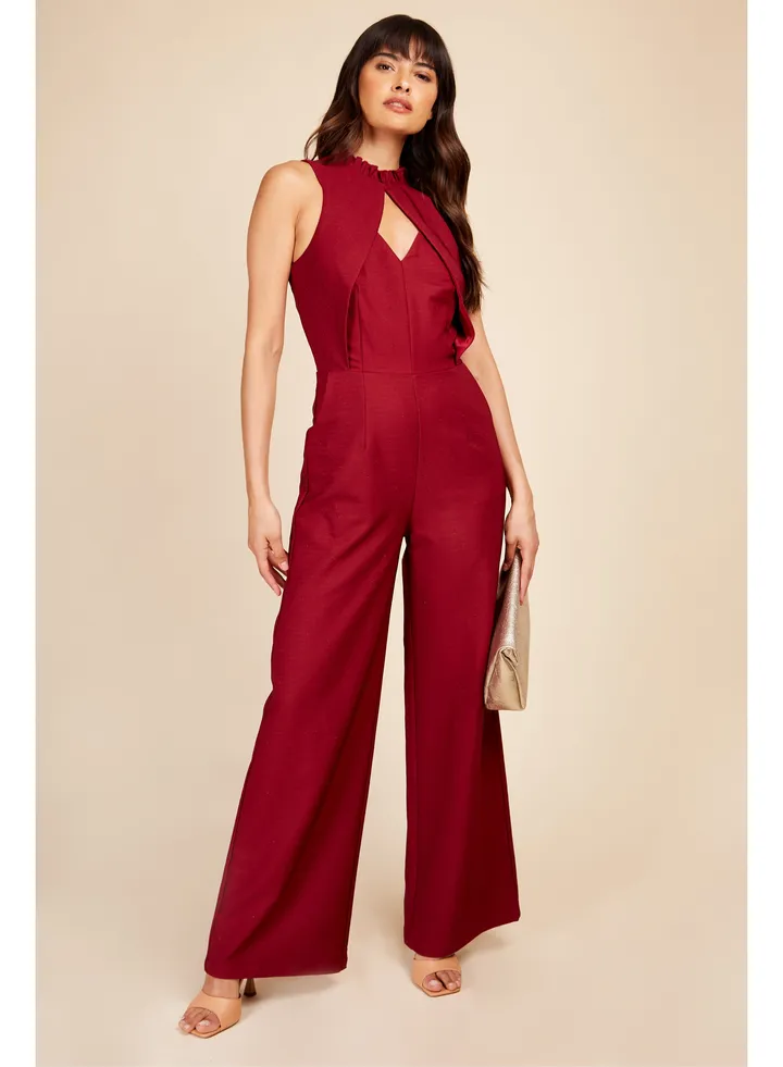 Little Mistress Berry Shimmer Jsuit