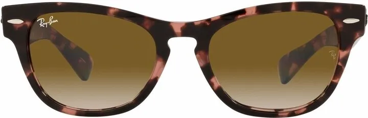 RB2201 cat-eye frame sunglasses