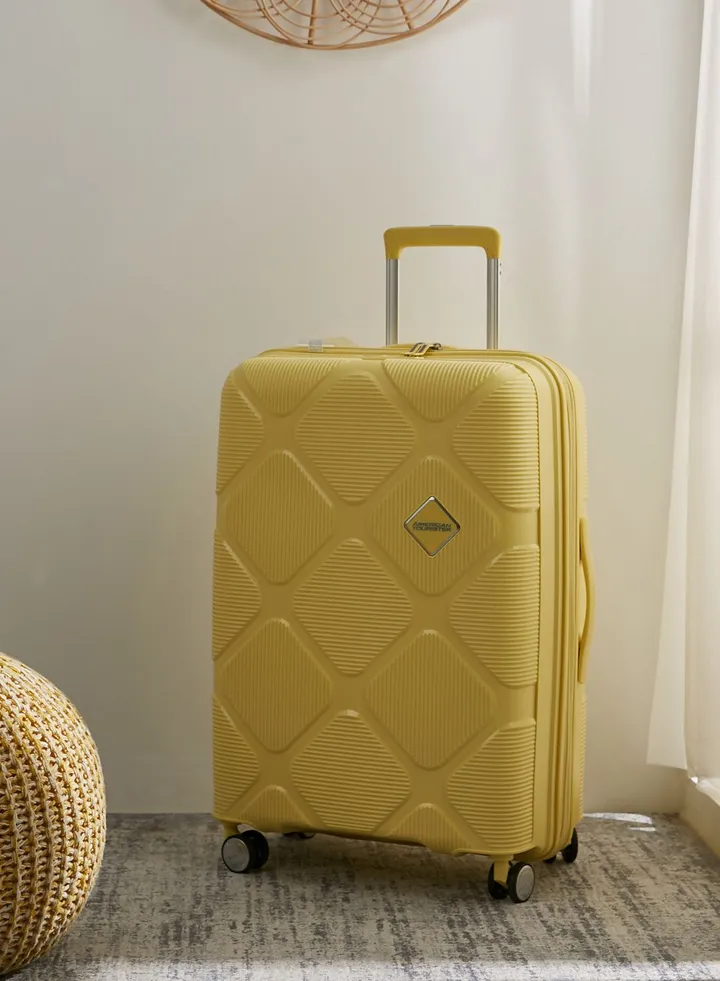 Large Suitcase Trolly