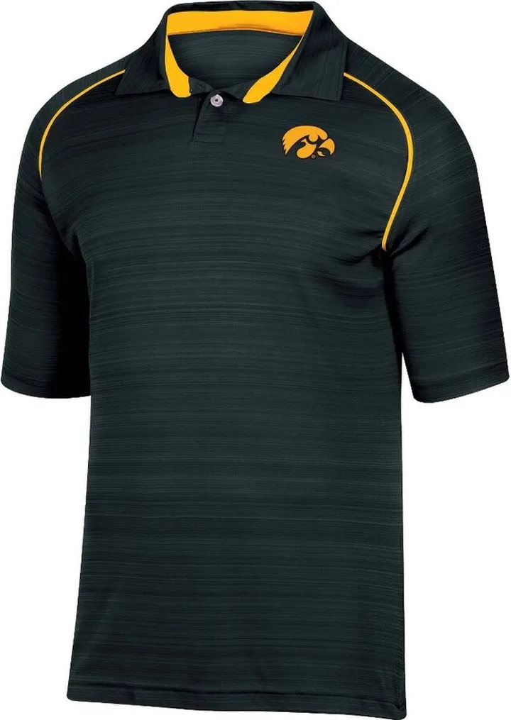 NCAA Iowa Hawkeyes Men's Faded Striped Short Sleeve Polo Shirt - S