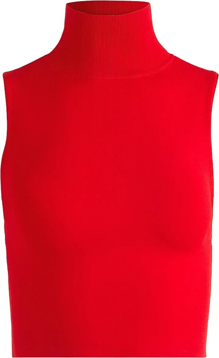 Darina Mock Turtleneck Top