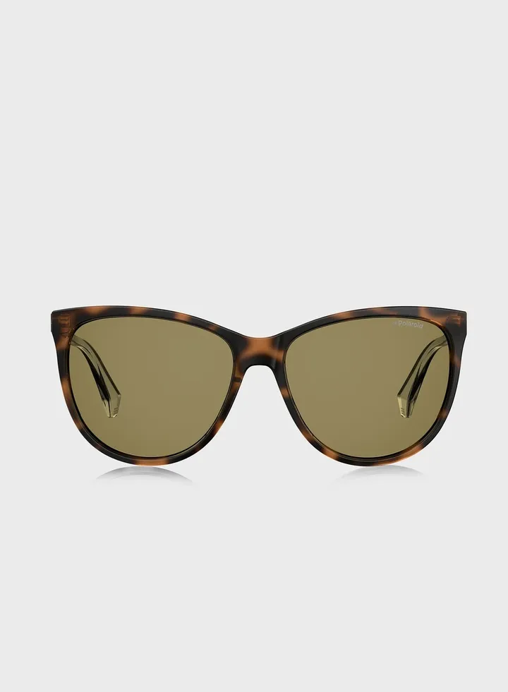 Pld 4058/S Sunglasses