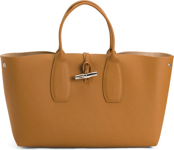 Leather Roseau Top Handle Satchel