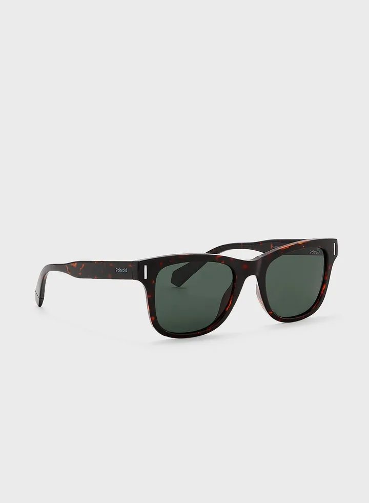 Wayfarer Sunglasses