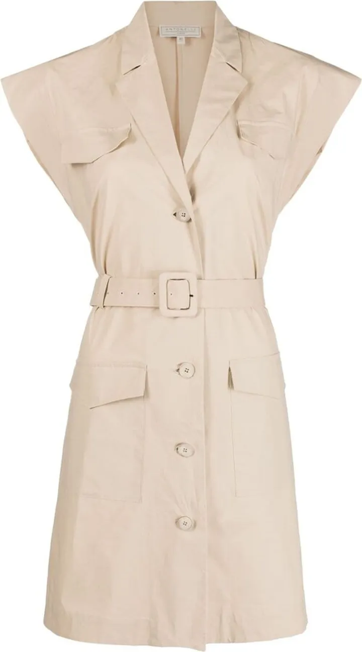 Belted Mini Dress