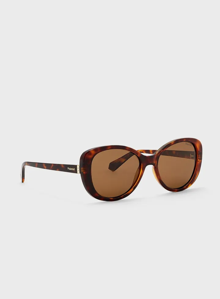 Pld4154/S/X Sunglasses