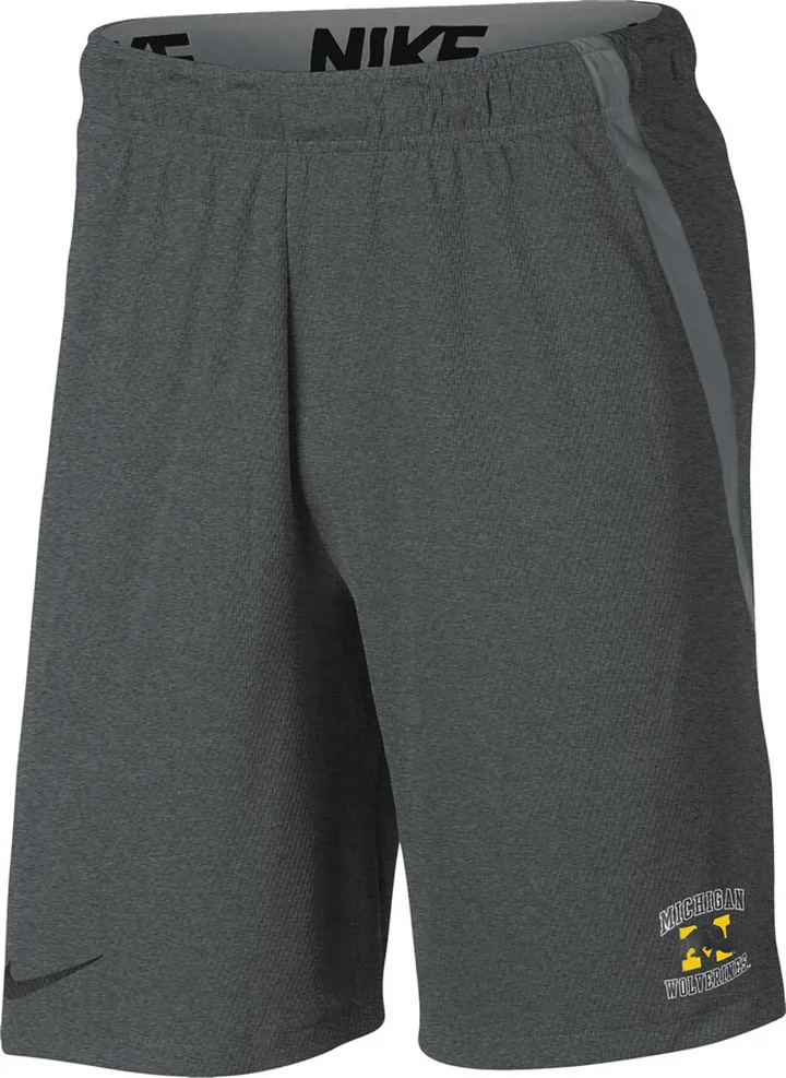 Michigan Nike Men's College Shorts in Grey