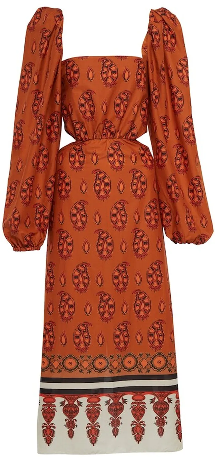 Indian Roar cotton midi dress