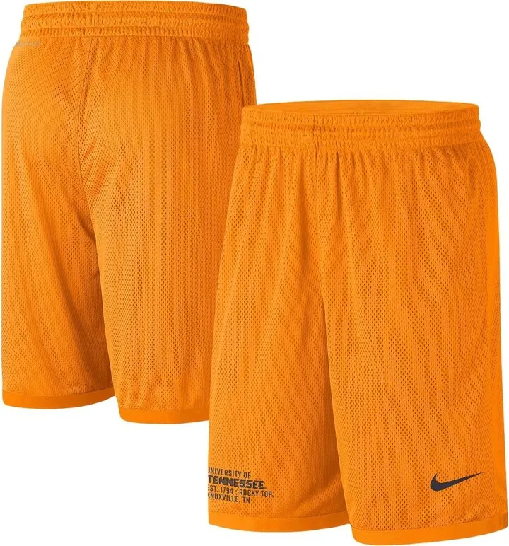Men's Nike Tennessee Orange Tennessee Volunteers Performance Mesh Shorts