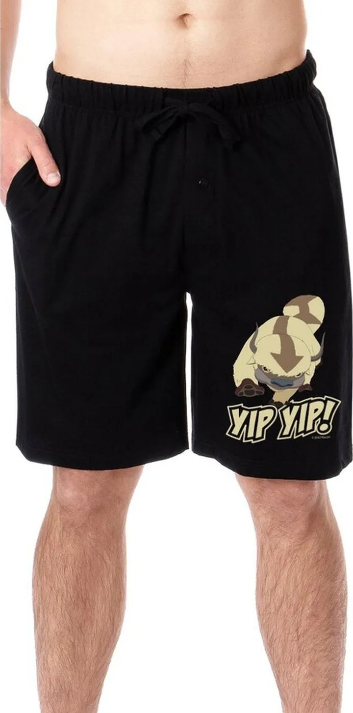 Nickelodeon Mens' Avatar The Last Airbender Appa Yip Yip Sleep Pajama Shorts(L) Black