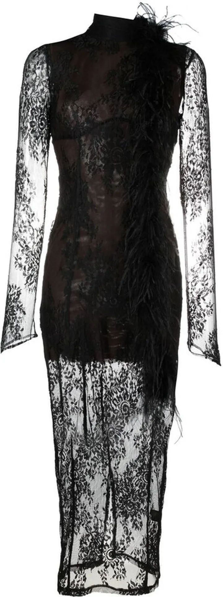 Lace Semi-Sheer Dress